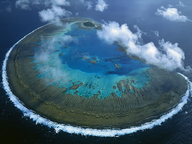 Lady Musgrave Island, Queensland