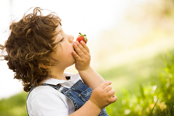 Children should be Exposed to Organic Food