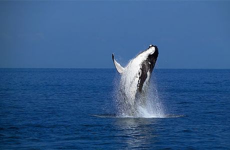 Hervey Bay, Queensland Australia