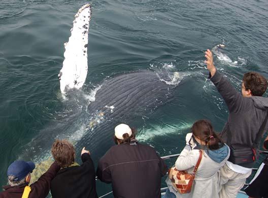 Monterey Bay, California