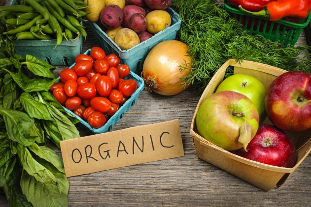 Organic Food is not very Costly