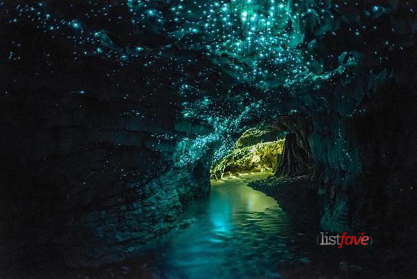 Glowworm Caves, Waitomo