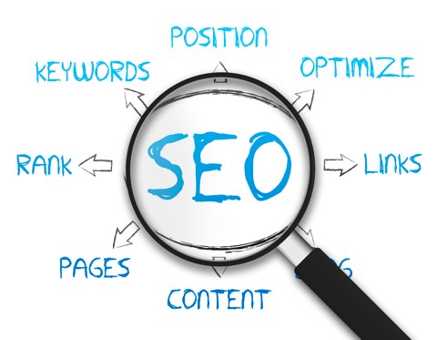 How To Have A Career In SEO Industry