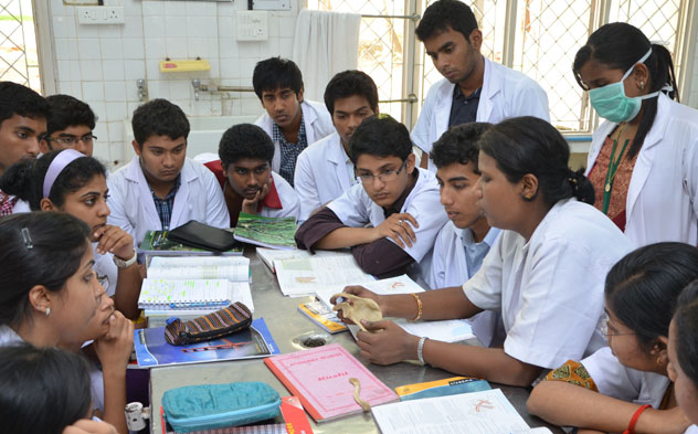 Basic Pattern Of Medical Courses In Indian Medical Colleges