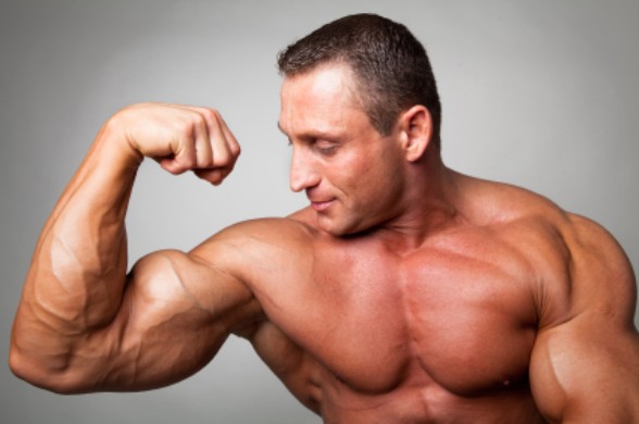 Tips For Muscle Building