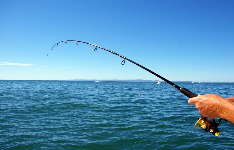 Grab The Fishing Probabilities In California Delta