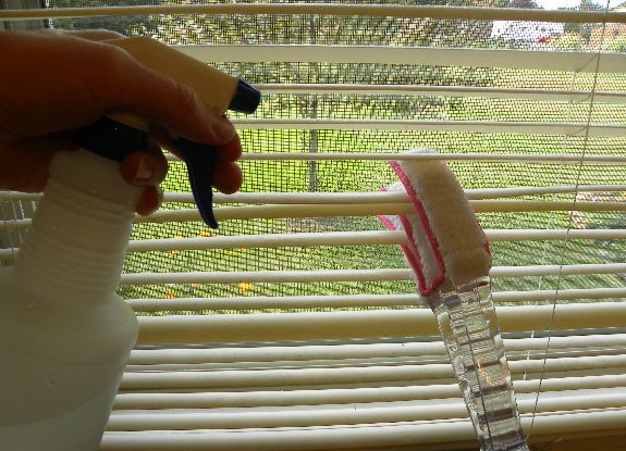 Why Hire A Professional Window Blind Cleaner