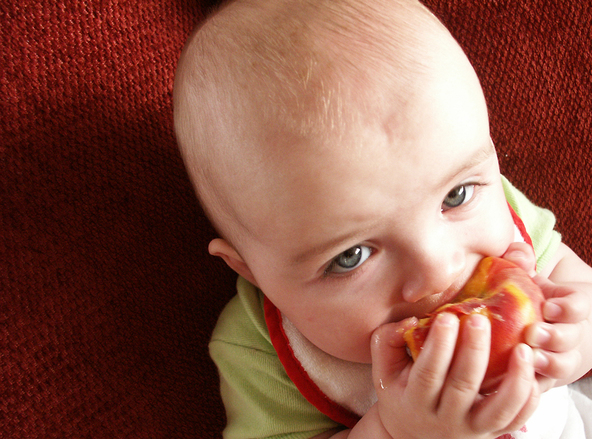 Baby And Solid Food: Everything You Should Know