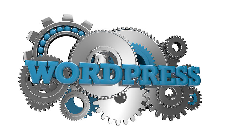 Top 4 Reasons That Prompt You Choose Custom WordPress Development Services