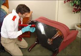 How and When To Hire A Pest Control Experts To Control Bed Bugs