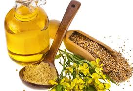 How Does Mustard Oil Stops Hair Fall ?