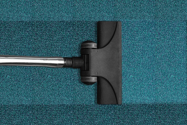 End Of Tenancy Carpet Cleaning – Why You Should Rely On The Professionals