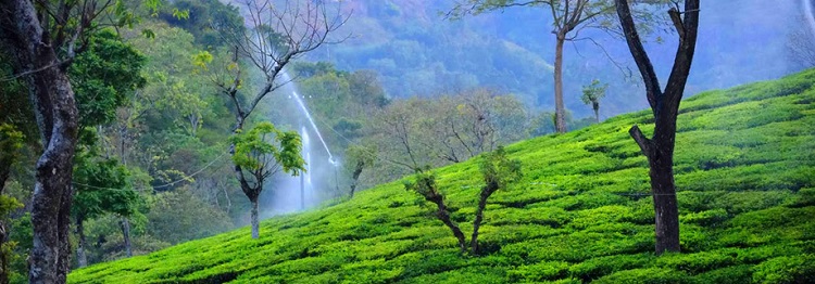 Top 5 Sites In Kodaikanal That You Must Visit