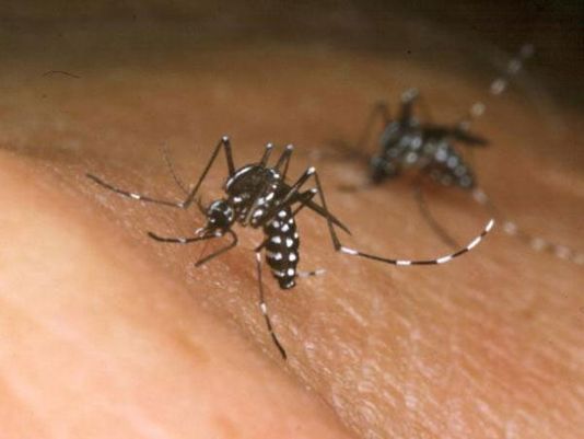Take Charge: Protecting Yourself from The Zika Virus