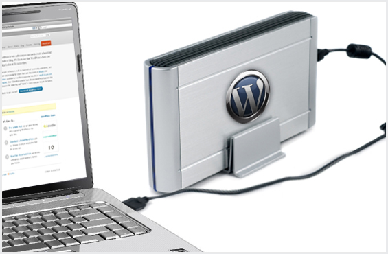 Database Backup for Our WordPress Website