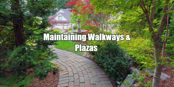 How To Maintain Walkways And Plazas