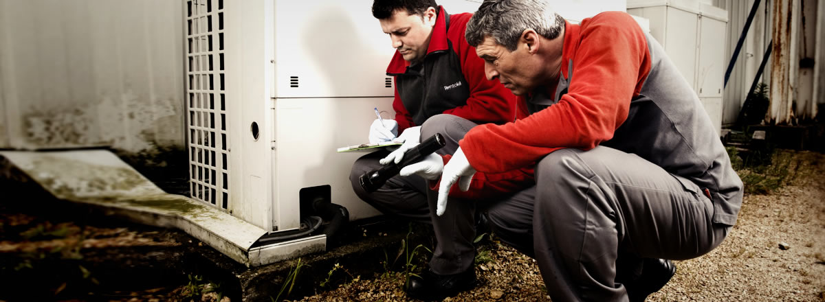 Have Face Enough Problems Because Of Pests- Hire Pest Controllers London