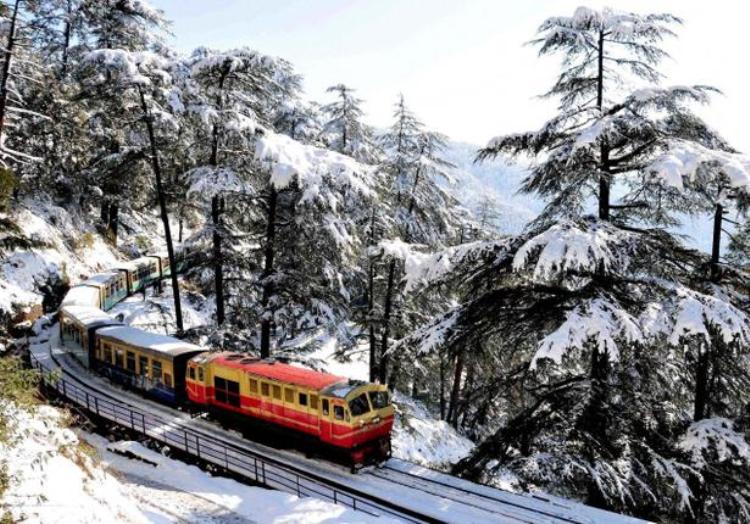 Some Tranquil Hill Shopping In Shimla: The Best Hives