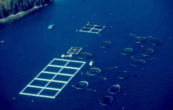 Did You Know "What Is Aquaculture" ?