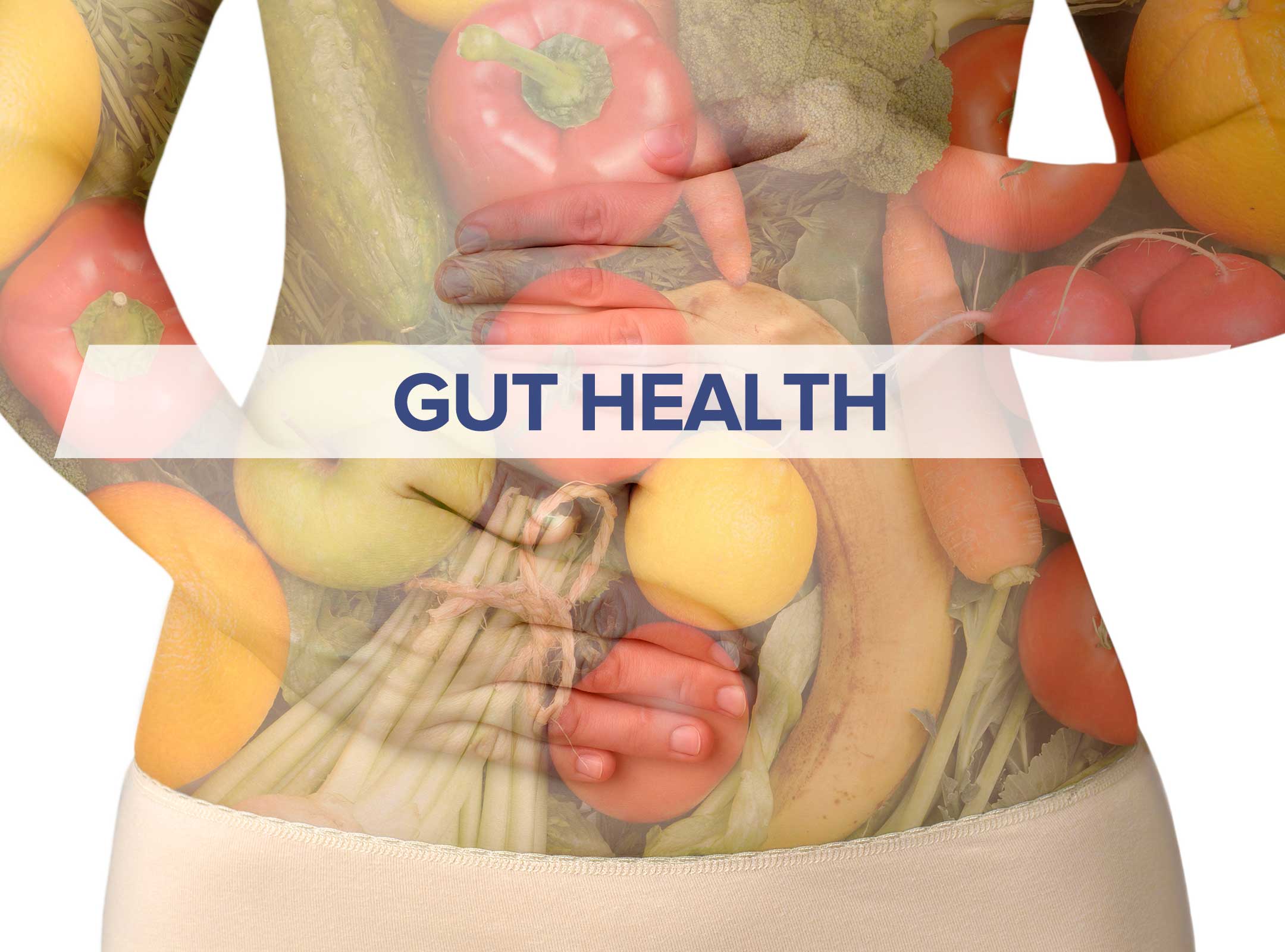 Rectify Your Gut: 8 Super Foods That Help You Keep Your Gut Healthy!