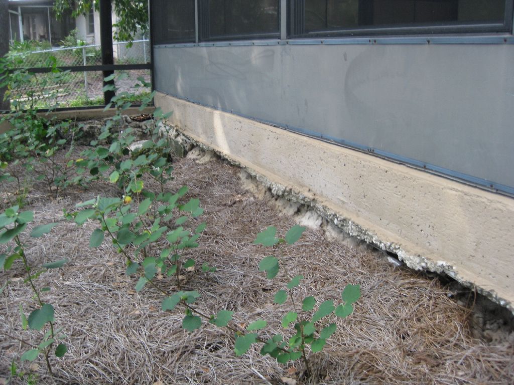 4 Prophylactic Measures To Protect Your  Foundation From Soil Erosion