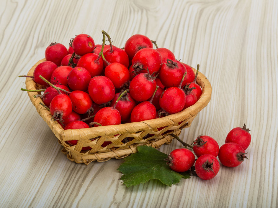 Health Benefits Of Hawthorn Berry