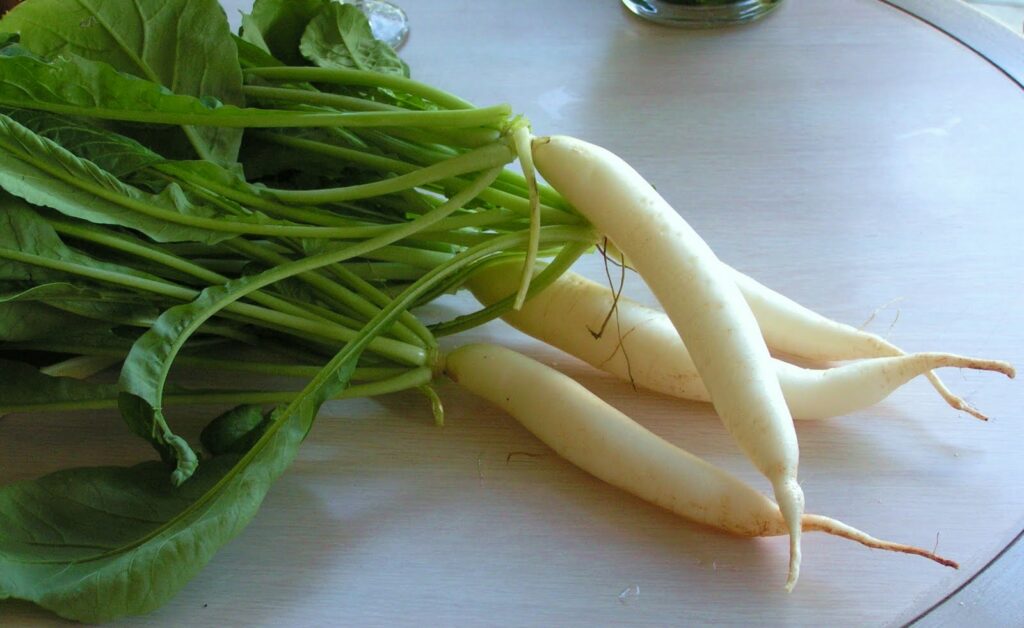 4 Reasons To Eat Radish or Mooli