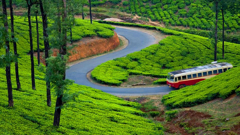 Planning The Honeymoon At The Popular Hill Stations Of Kerala