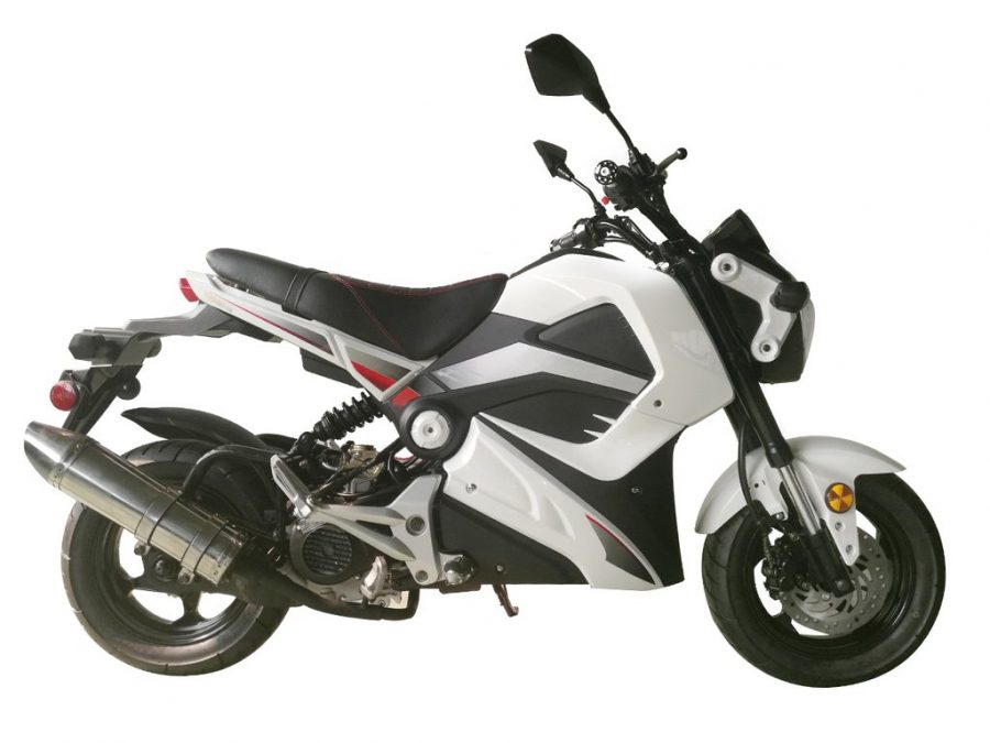 Everything You Wanted To Know About A 40CC Pocket Bike