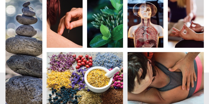 Educating Individuals About An Alternative Medicine