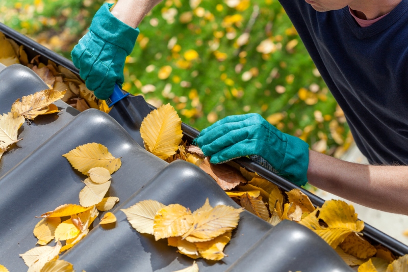 Tips For Exterior Home Maintenance