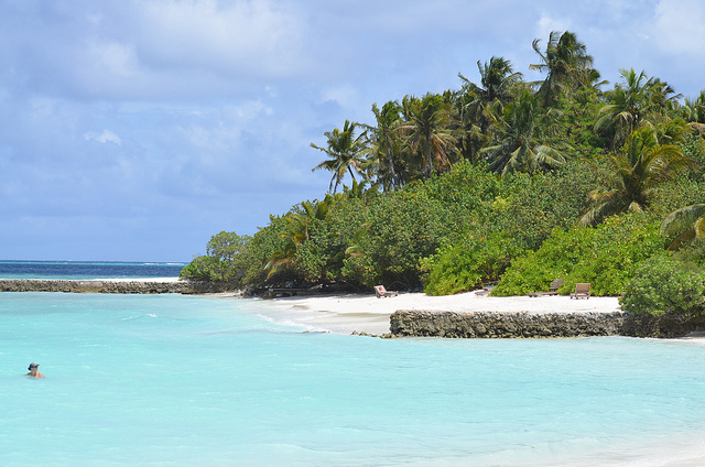 Catch the Rays in the Maldives