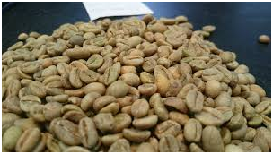 Buying Coffee For Your Café? Let Me Help You Choose The Right Beans