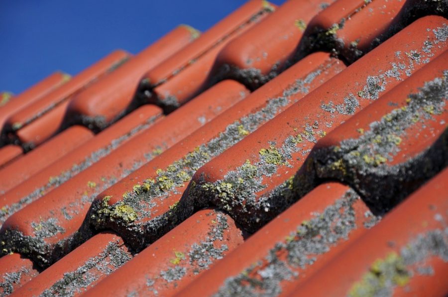 4 Types Of Roof Damage That Could Result In Health Risks For Your Family