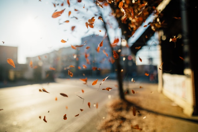 4 Ways To Prepare Your Air Conditioner For Fall