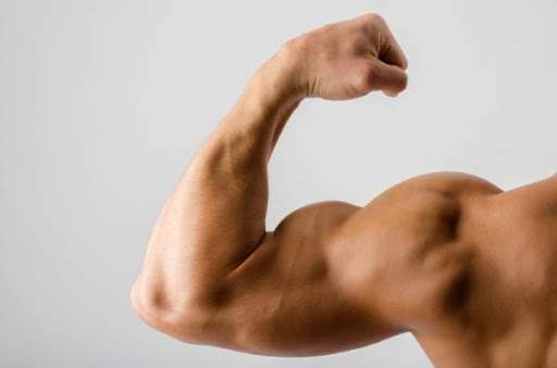 This Is How To Get Bigger Arm Muscles