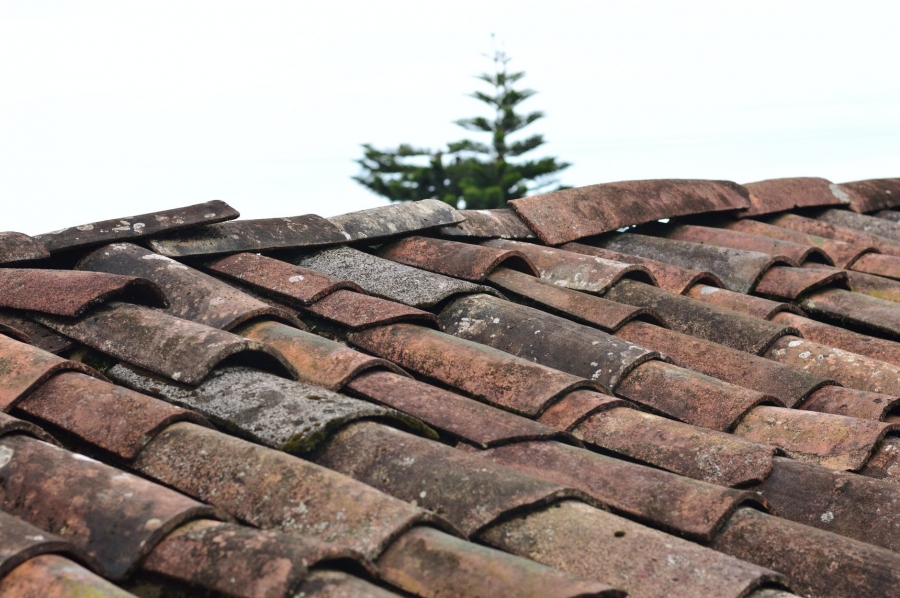Signs It Might Be Time For A Roof Replacement